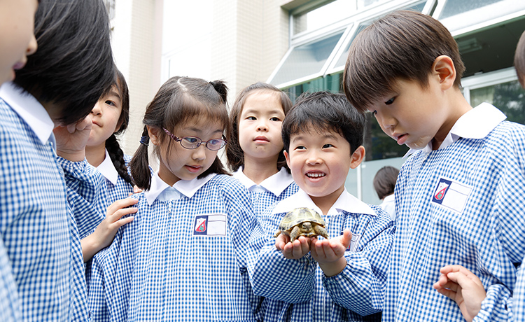 総合学習 清泉小学校の学び 清泉小学校